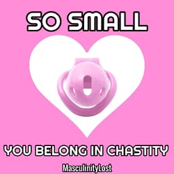 if your dick is so small you belong in chastity for all time'