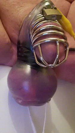 Precum in metal chastity from electro'