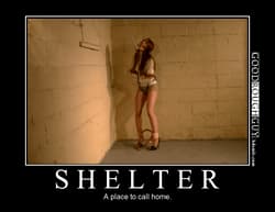 Shelter'