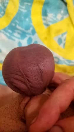 Slave shows off banded balls castration'