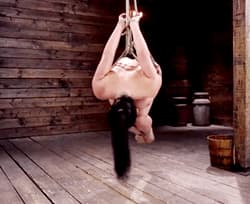 Suspended whipping'